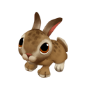 Hase Jungtier